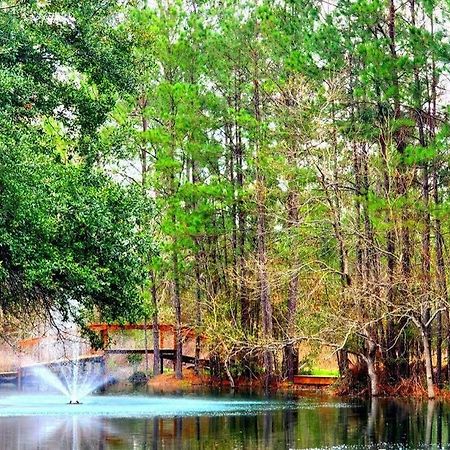 Waterfront Houston Hide Out In A Magical Forest Waller Exteriör bild