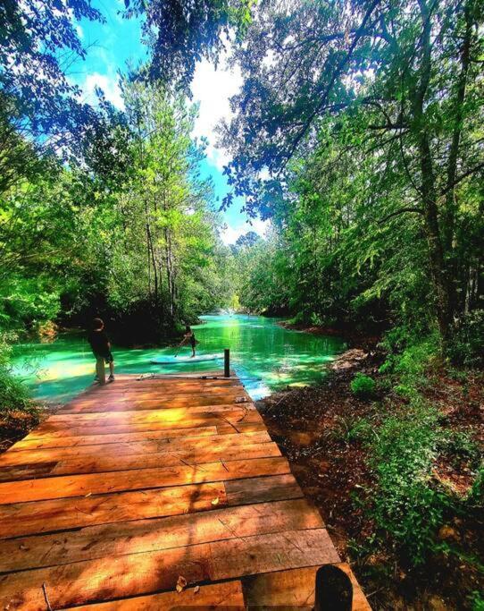 Waterfront Houston Hide Out In A Magical Forest Waller Exteriör bild