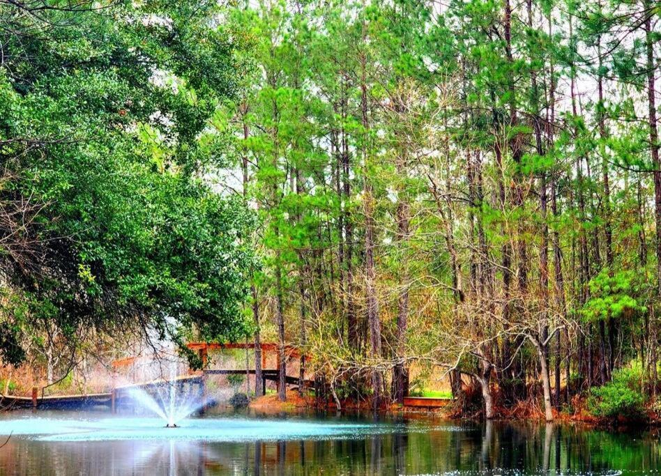 Waterfront Houston Hide Out In A Magical Forest Waller Exteriör bild
