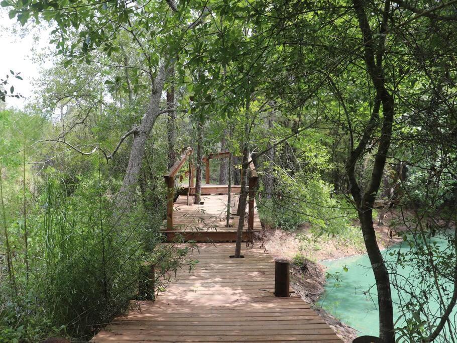 Waterfront Houston Hide Out In A Magical Forest Waller Exteriör bild